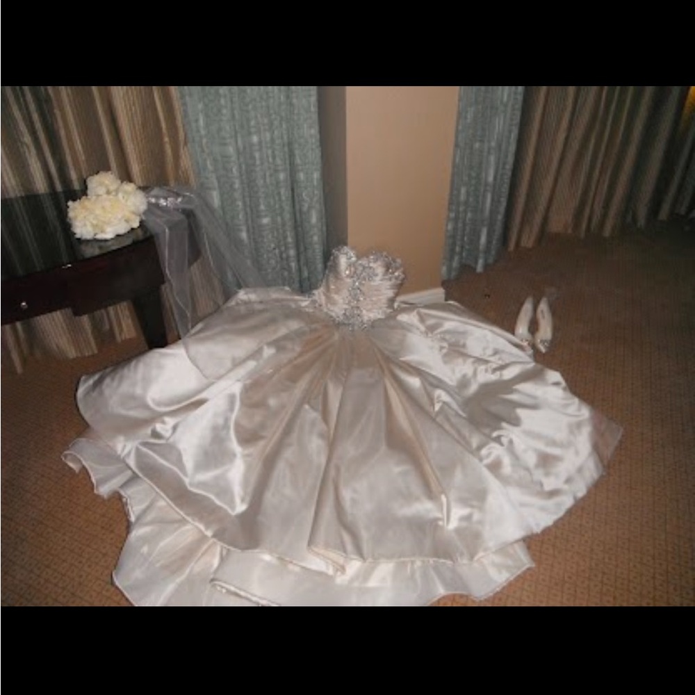 Pnina Tornai Wedding dress - Picture 4 of 11